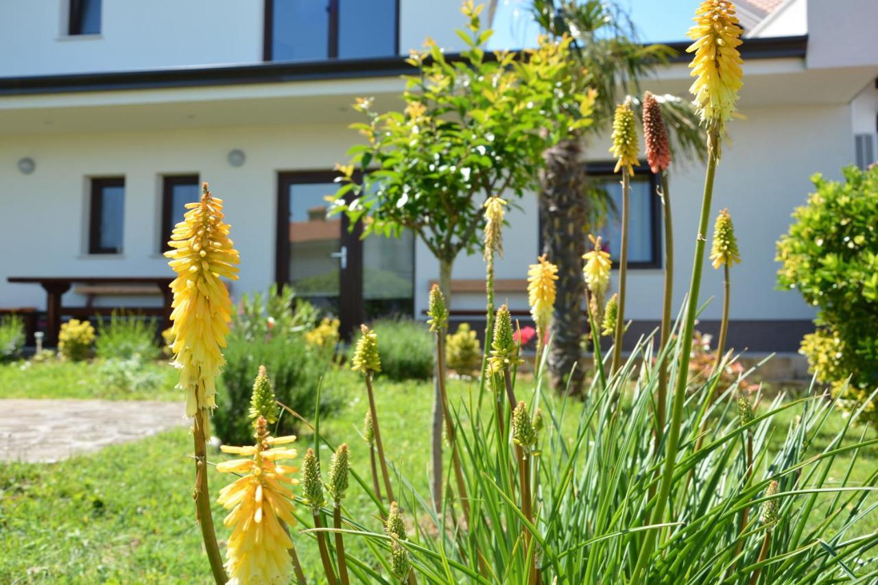 Vila Palma - App Palma & Room Figa Ankaran Luaran gambar